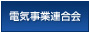 The Federation of Electric Companies of Japan